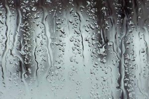 Window Cleaner Oldham